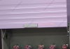 purple_1