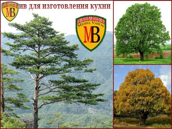 кухни в Минске