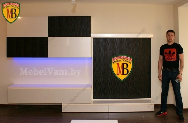 МЕБЕЛЬ ДЛЯ ГОСТИНОЙ_ПОД ЗАКАЗ_МИНСК