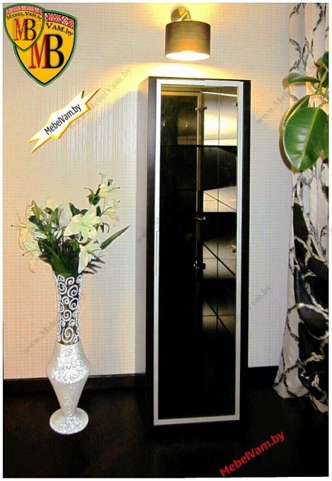 корпусный_модуль_стенки для гостинной_4642_дизайн_индивидуальный_минск_2015