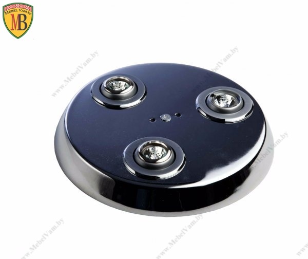 БАРНАЯ ПОЛКА_ПОД МЕБЕЛЬ_НА ЗАКАЗ_В МИНСКЕ_ptj 116-38 d350