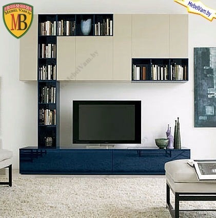 ~241~МЕБЕЛЬ ДЛЯ ГОСТИНОЙ_В МИНСКЕ_НА ЗАКАЗ_5214